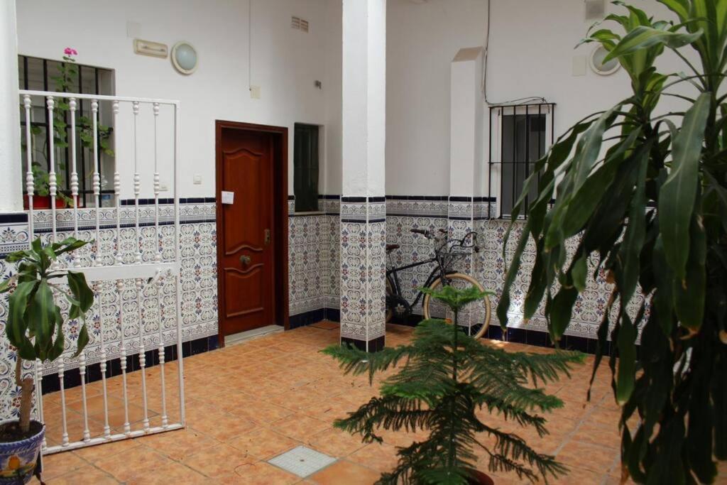 Cdz - Casa De Los Viajeros Pasquin カディス エクステリア 写真